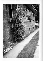 70 beside the old house